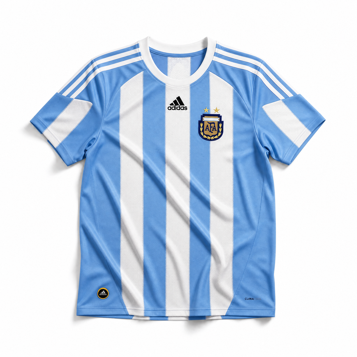Maglia Argentina 2010 vista frontale strisce bianche azzurre