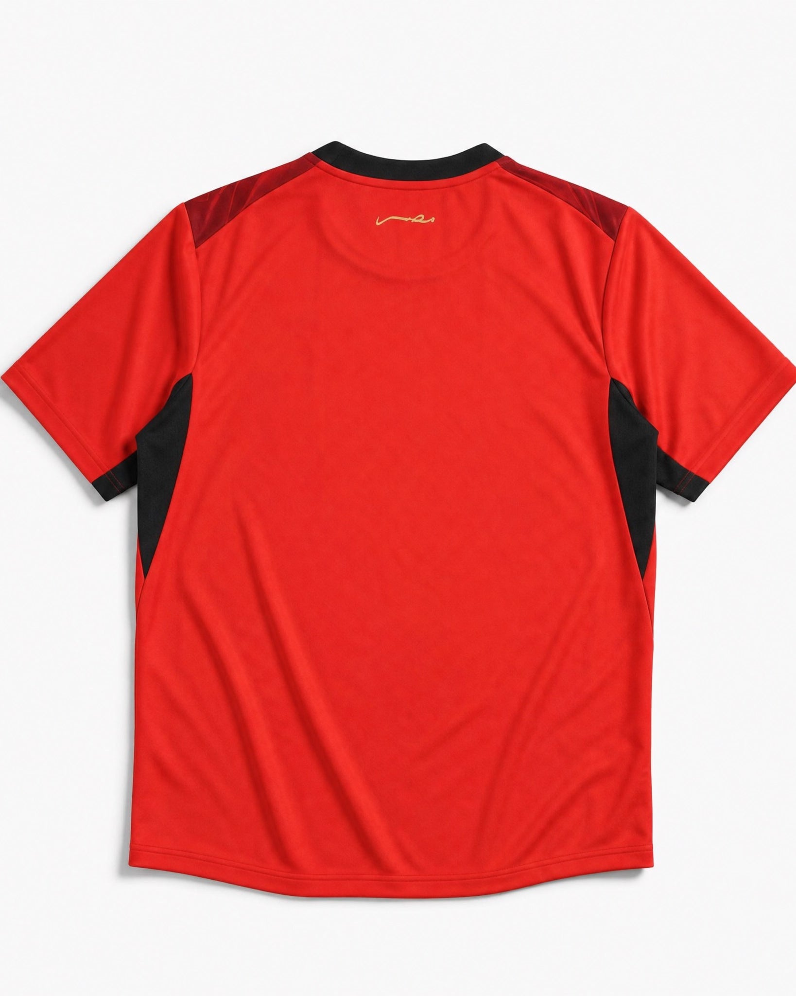 Maglia Egitto Home 2026 World Cup dettaglio della grafica