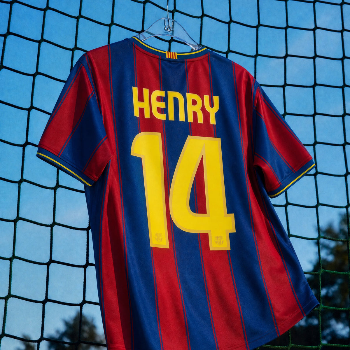 Maglia storica Barcellona 2009/10 appesa dettaglio numero 14