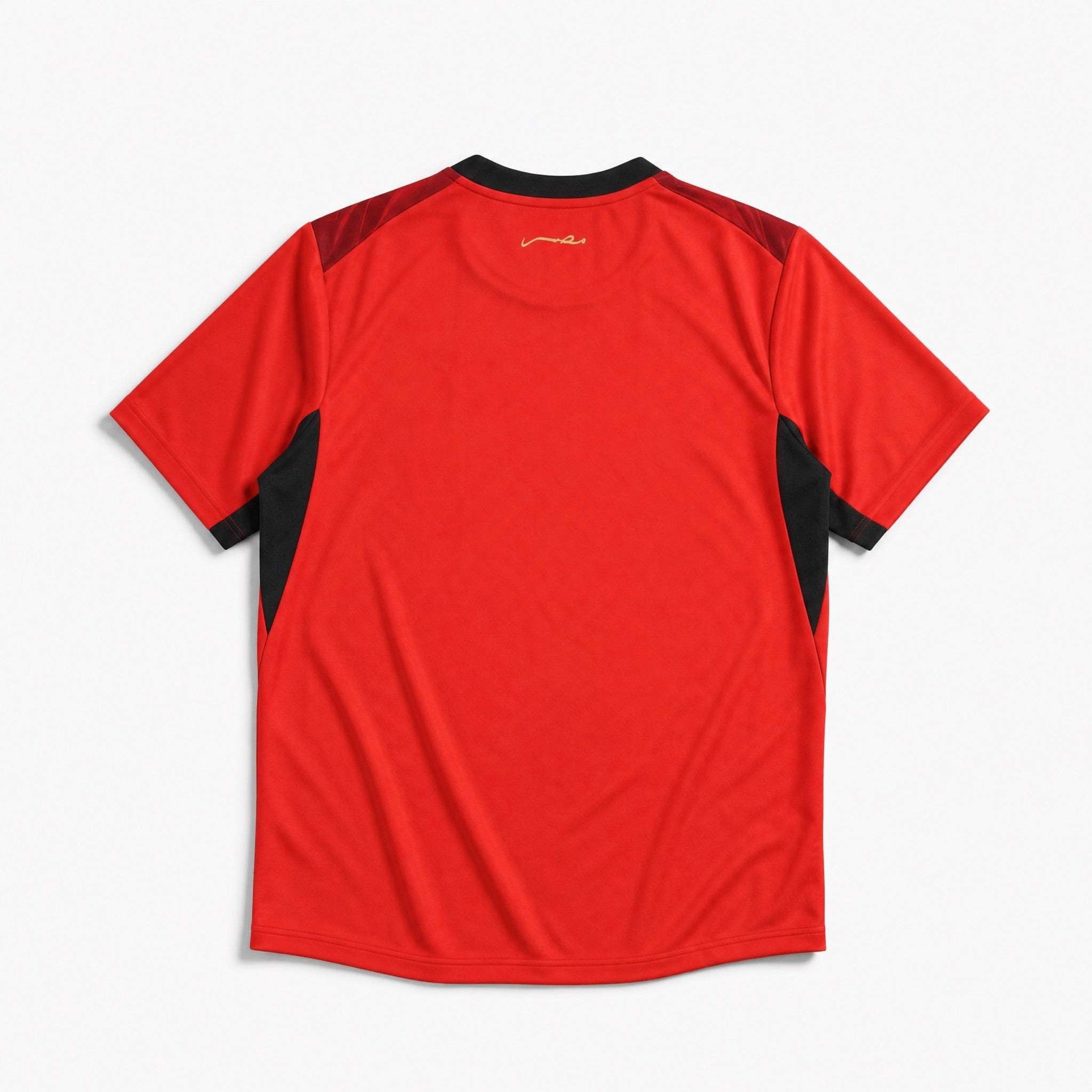 Maglia Egitto Home 2026 World Cup dettaglio della grafica