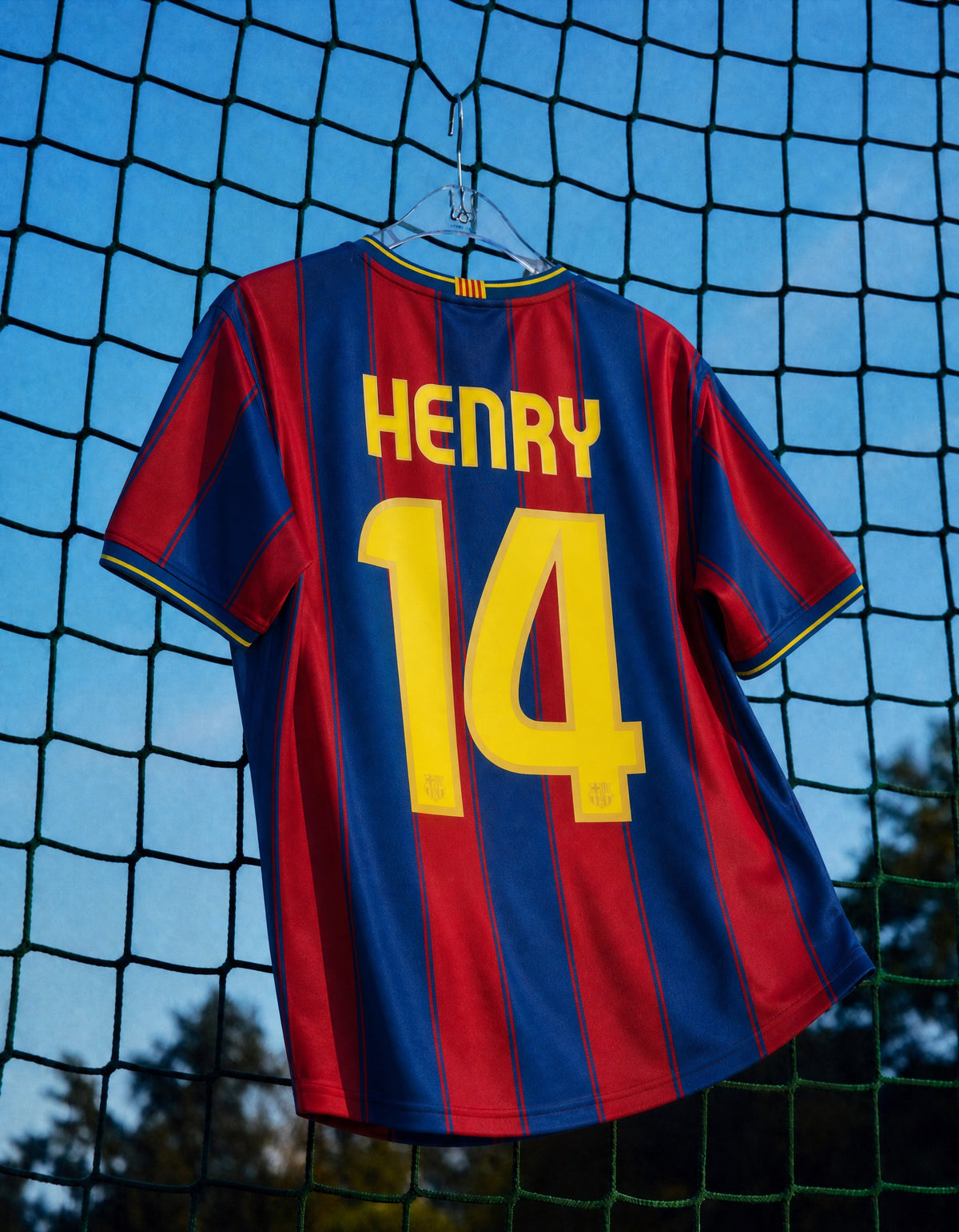 Maglia storica Barcellona 2009/10 appesa dettaglio numero 14